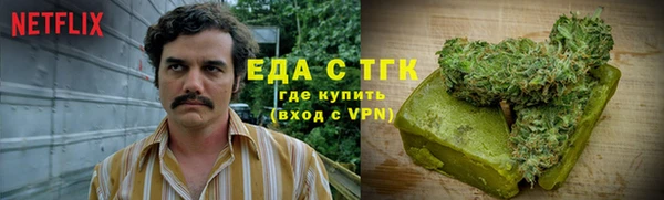 крисы Надым