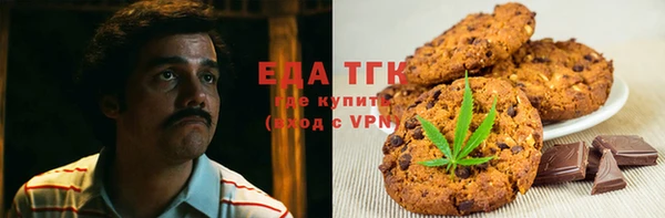 крисы Надым