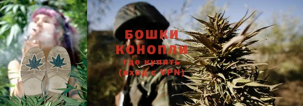 крисы Надым