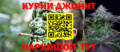 индика Будённовск