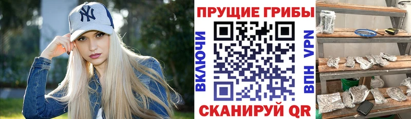 Псилоцибиновые грибы Cubensis  Отрадный 